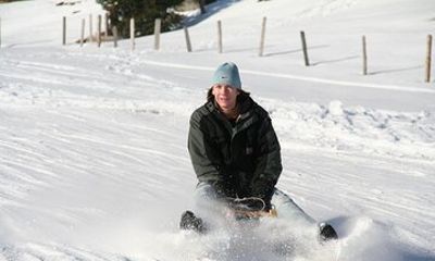 Davos Private Sledging Tour