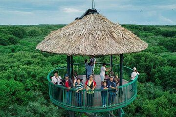 Private Can Gio Eco Reserve Discovery