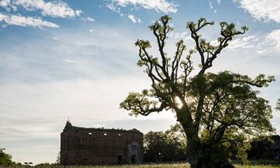 Jesuit Ruins & Carmelo Wineries: Private History and Wine Tour