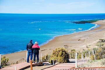 Península Valdés Full Day Tour from Puerto Madryn