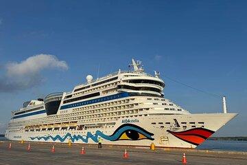 Ho Chi Minh City Shore Excursion Private Tour From Port Cruise