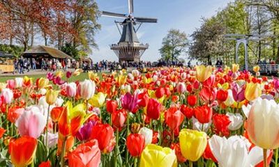Keukenhof Tulip Garden Fast Track Entry Ticket