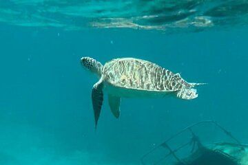 St Thomas Jeep & Water Island Tour Combo - Adventure