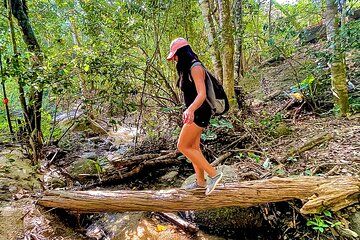 Hiking Adventure in Puerto Vallarta