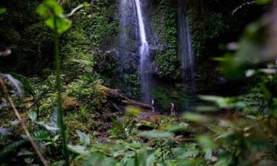 Cloud Forest and Hidden Waterfall Hike in Santiago Atitlan