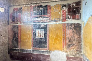 Pompeii Tour with Wine and Olive oil Tasting from Positano