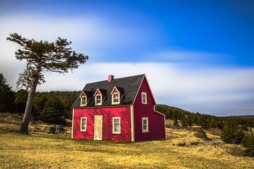 Sightseeing and Photography Tour in St. John's Newfoundland