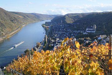 Koblenz to UNESCO World Heritage Site Upper Middle Rhine Valley