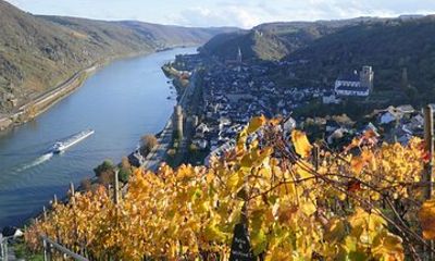 Koblenz to UNESCO World Heritage Site Upper Middle Rhine Valley