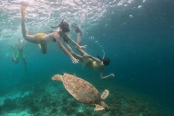 Private 3 Gili Trip