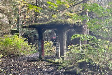 Historical Walking Tour of Abandoned Gold Rush Era City with AR