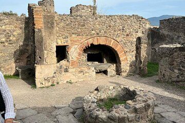 Pompeii Ruins Guided Tour from Ravello