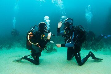 Double Dive Baptism on Berlenga Island
