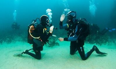 Double Dive Baptism on Berlenga Island