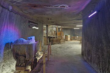 Direct Bus to Salt Mine with Easy Access