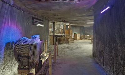 Direct Bus to Salt Mine with Easy Access