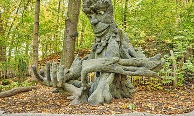Adventure forest fairy world