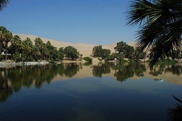 Private Tour Paracas Ballestas Huacachina and Pisco Vineyard