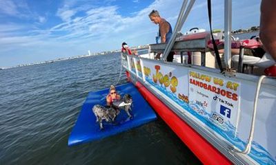 Private Four Hour Sandbar Adventure from West Wildwood