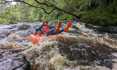 Dumfries River Tubing Adventure