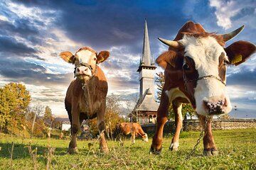Maramures & Bucovina (2 days, from Cluj)