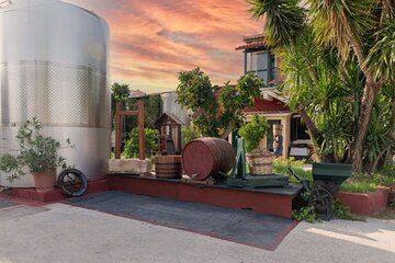 Discover the Zakynthos Past an Exclusive Tour