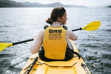 Picton Morning Guided Kayak with Afternoon Boat Cruise Tour