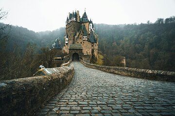 Koblenz to Castle Eltz Private Tour