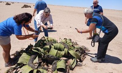 Walvis Bay and Swakopmund Treasures: Namibia’s Coastal Highlights