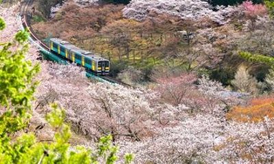 North Ibaraki Tour