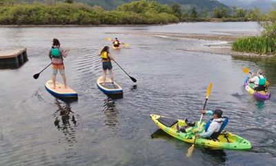 Columbia River Gorge Stand Up Paddle Experience