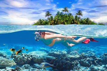 Pigeon Island Snorkeling Tour From Uppuveli Beach