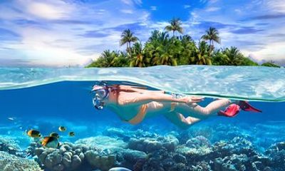 Pigeon Island Snorkeling Tour From Uppuveli Beach
