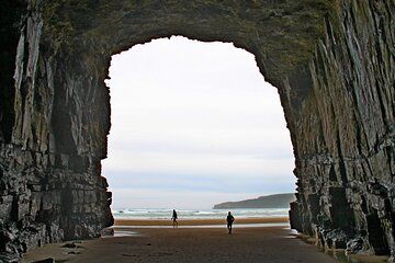 Nugget Point and Cathedral Caves Private Tour from Dunedin