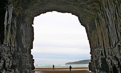 Nugget Point and Cathedral Caves Private Tour from Dunedin