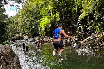 El Yunque Rainforest VIP Tour