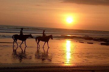 Horse Riding Bali On pigstone beach, Rice Field and village Tour