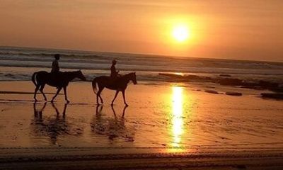 Horse Riding Bali On pigstone beach, Rice Field and village Tour