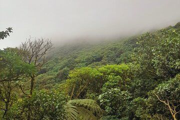 Mombacho Volcano Clouded Forest Trail and Ziplining
