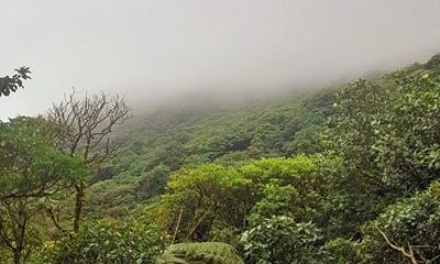 Mombacho Volcano Clouded Forest Trail and Ziplining