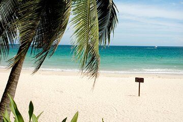 Sanya Private Car Charter Custom Tour with Driver 1 to 3 Days