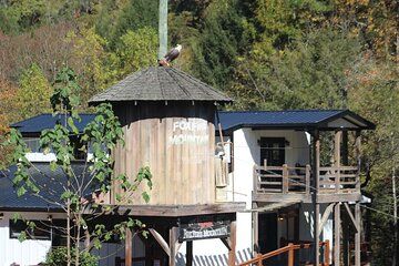 Discover Foxfire Hiking Pass