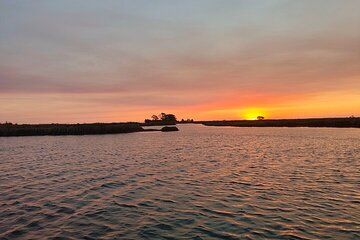 Boat tour of the highlights of the Ria