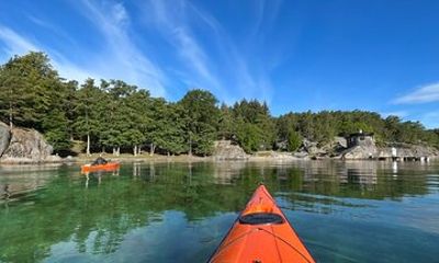 Lillesand Coastal Kayak Tour - Local Nature & Adventure