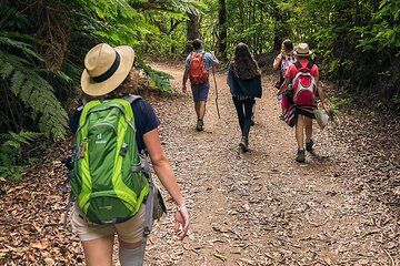 Madeira Mimosa Valley Trail Explore Maroços