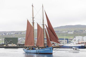 4-hour sightseeing onboard Iconic Faroese Sailing Ship