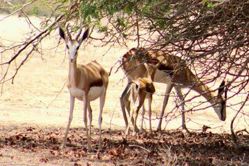 Treasures of the Moon landscape.
