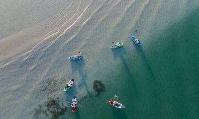 Estuary Escapades: Paddling Stories & Dolphin Watching Adventure