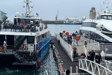 Robben Island Half-Day Tour from Cape Town with Hotel Pickup