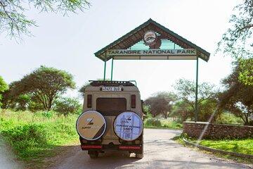 7 Days Tanzania Safari Tarangire, Serengeti and Ngorongoro